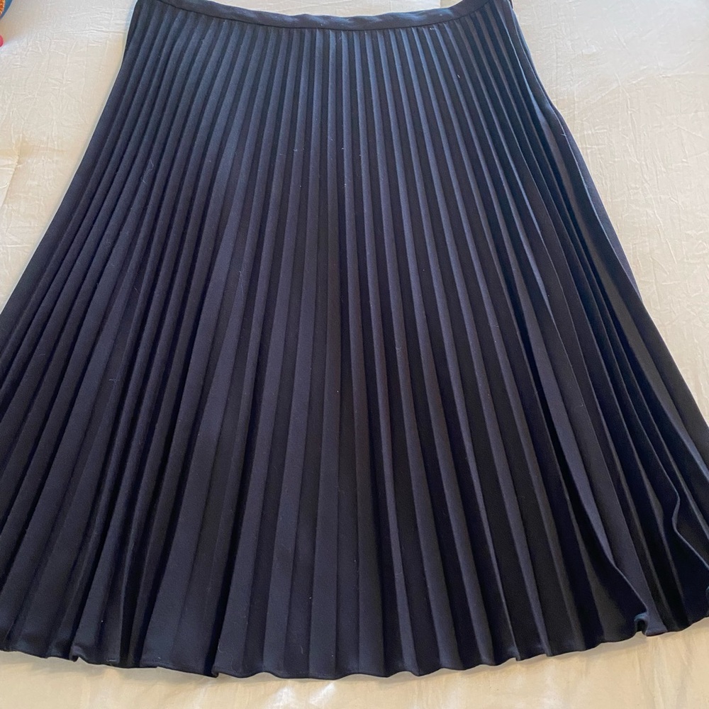 Black Pleated Skirt